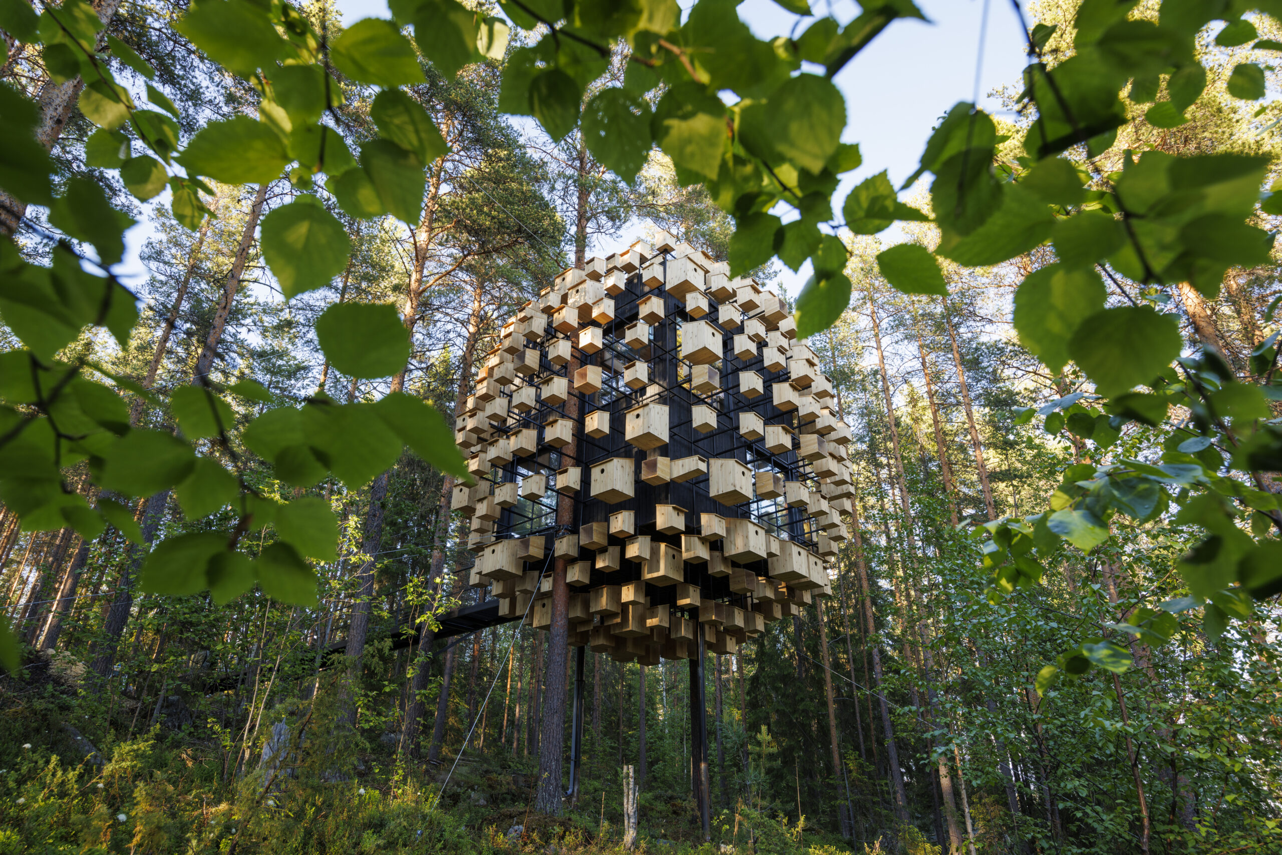 1307 Treehotel - Biosphere